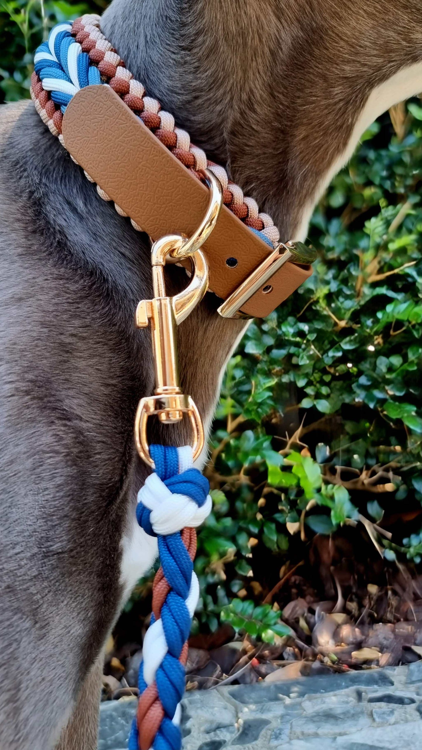 Strong dog leash