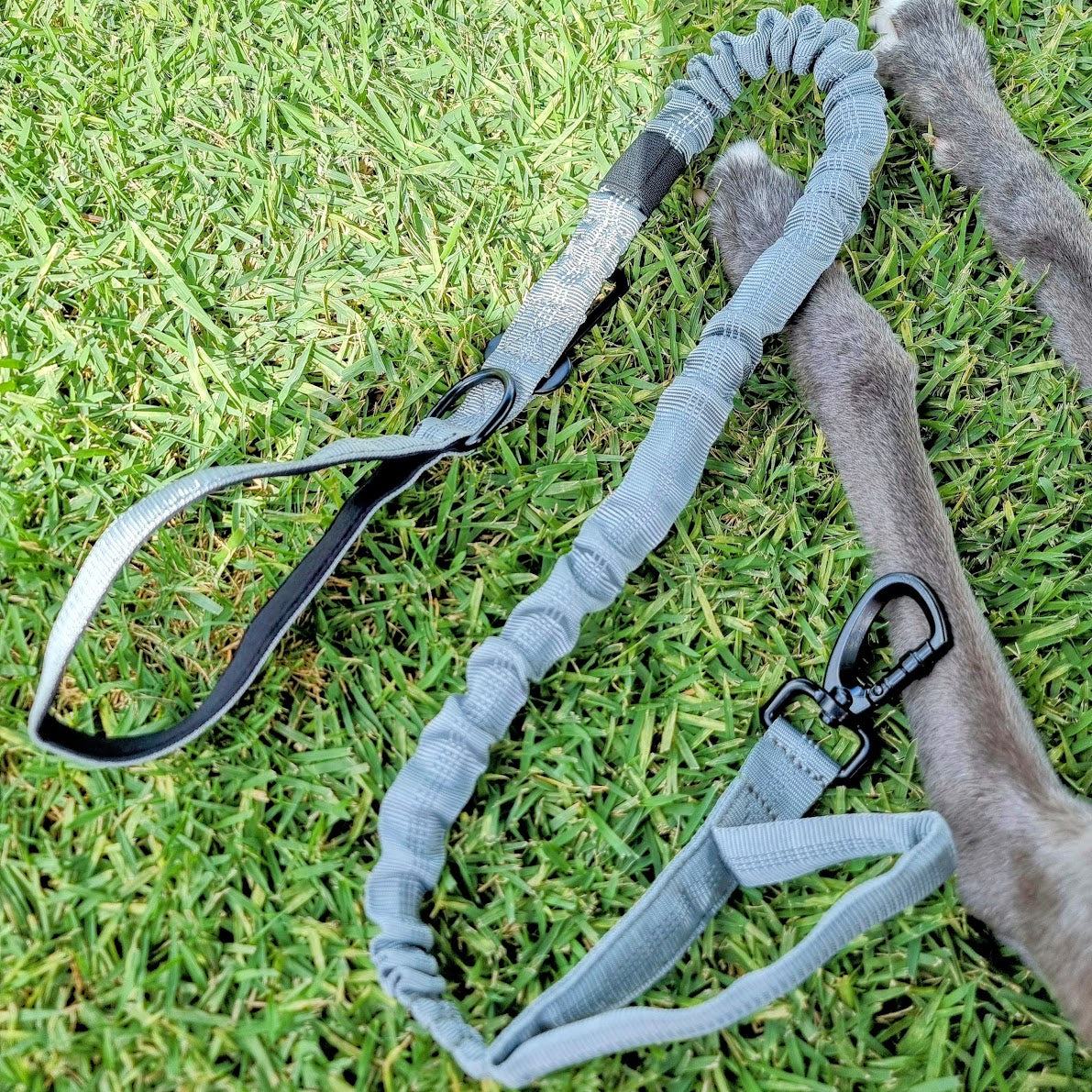 Tactical bungee dog leash