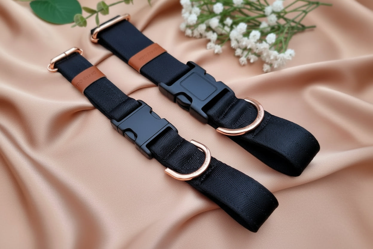 Black dog collar