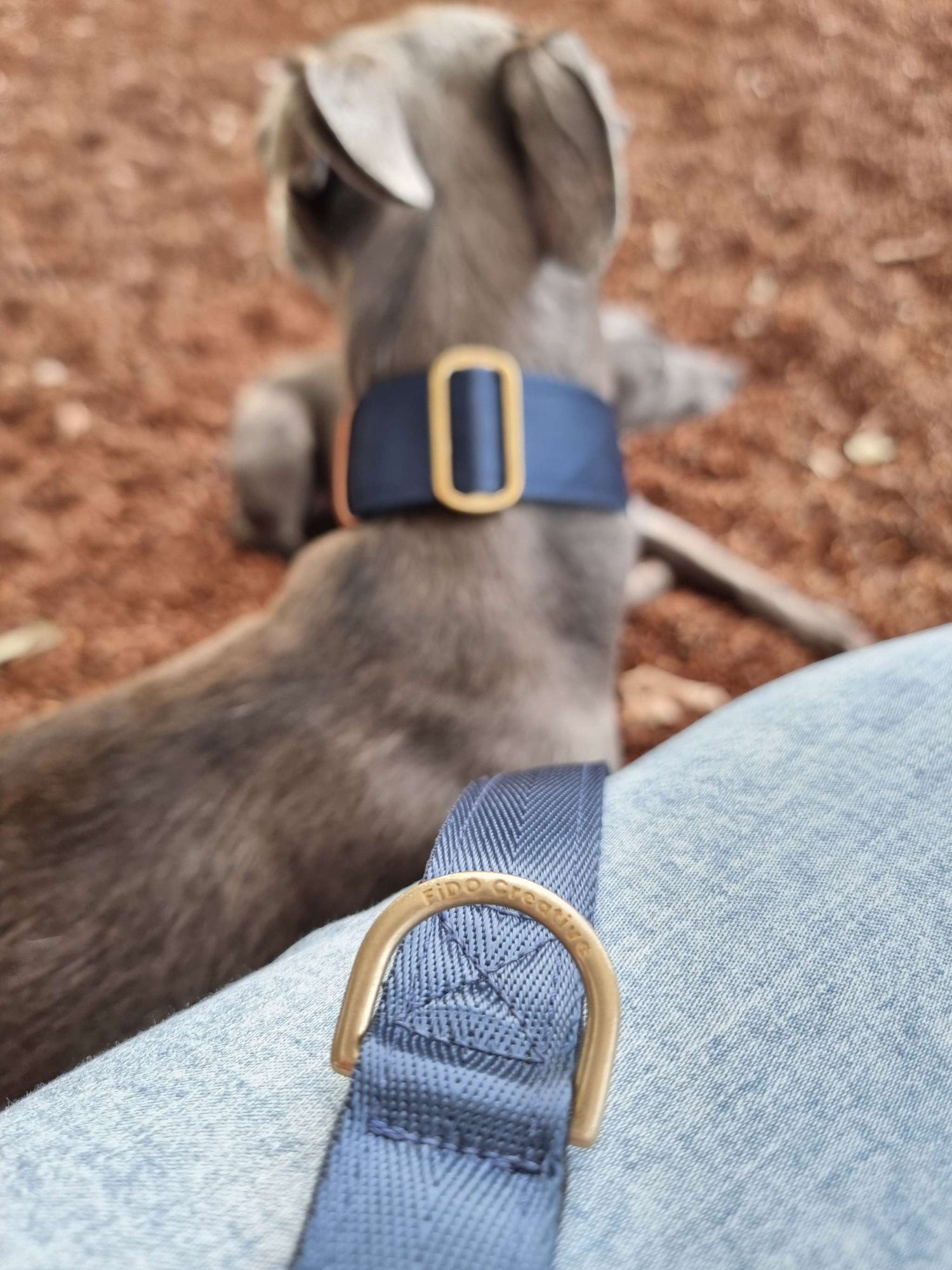 Navy blue and solid brass dog leash
