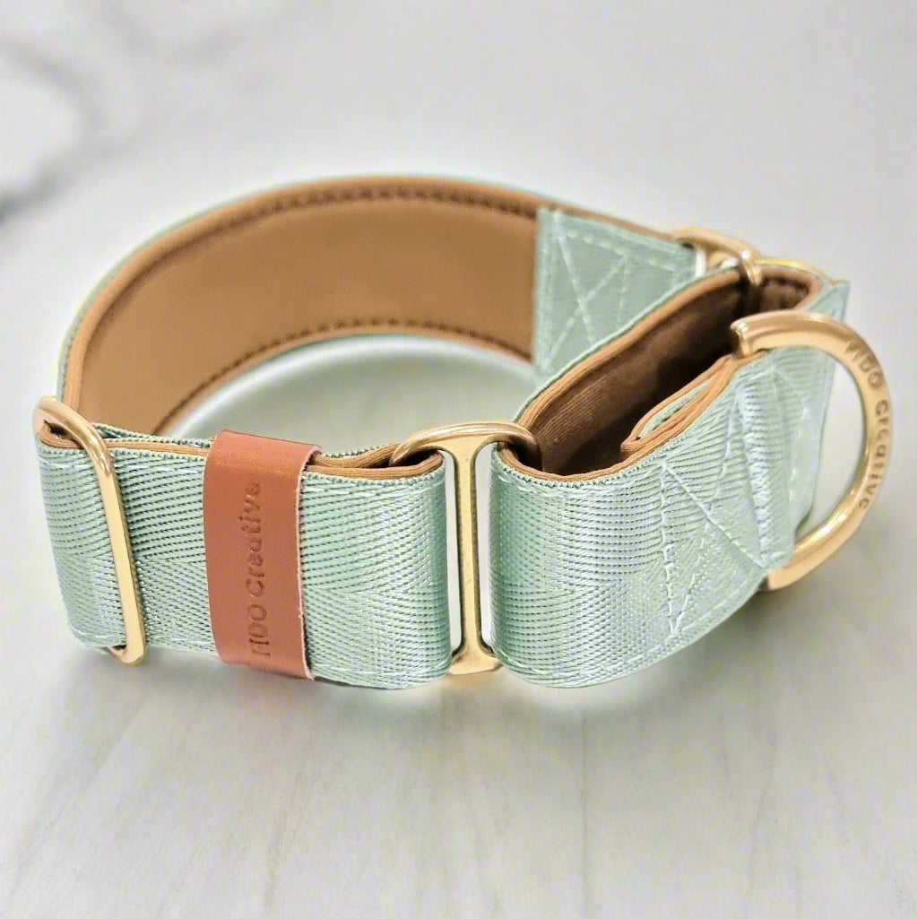 Green whippet or greyhound collar