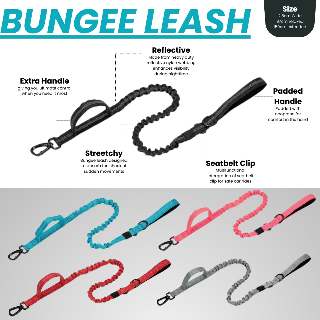 Bungee dog leash - Tactical dog leash