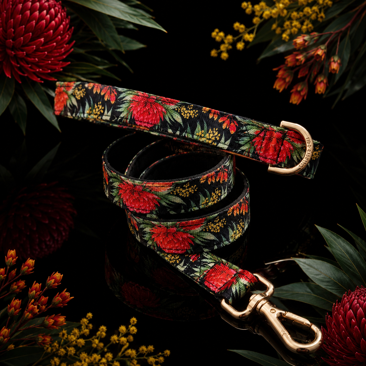 Waratah Dog Leash - Padded