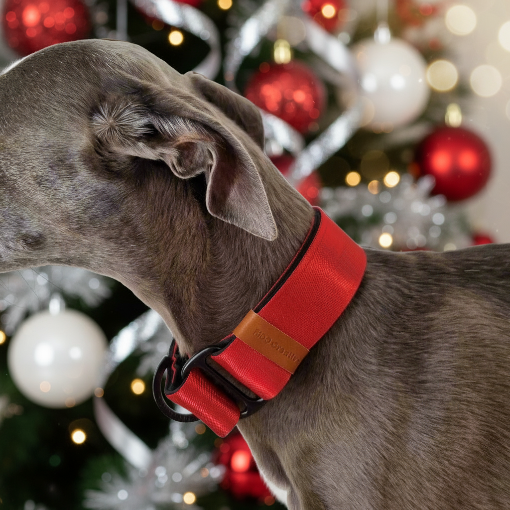 Red whippet collar