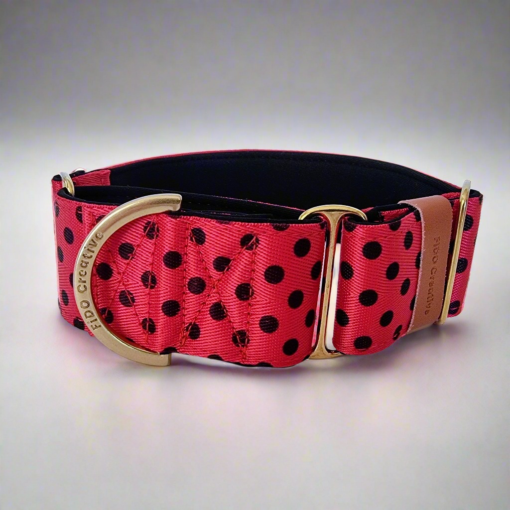 Spotty martingale collar 