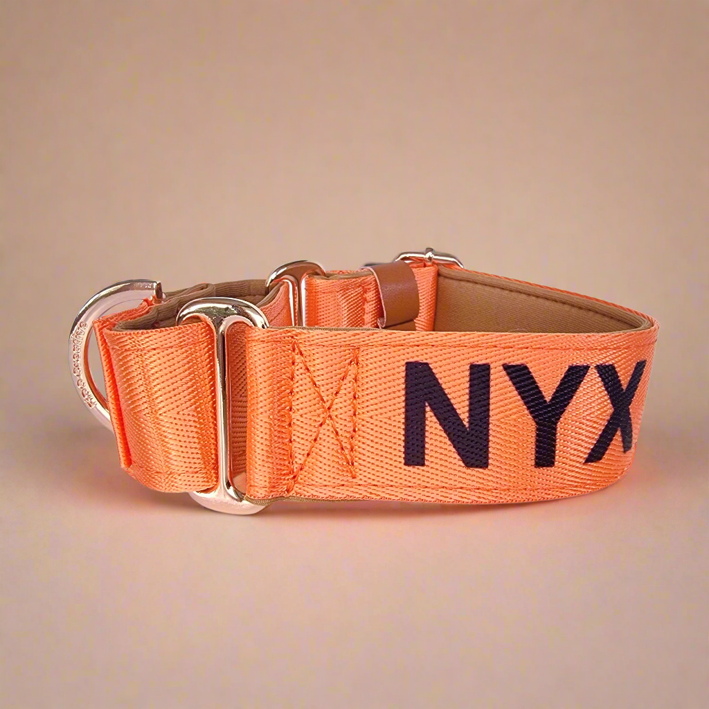 Orange martingale Collar with name personalised 