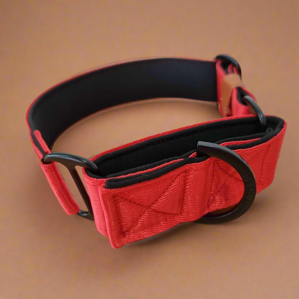 Red and black dog collar on a brown background