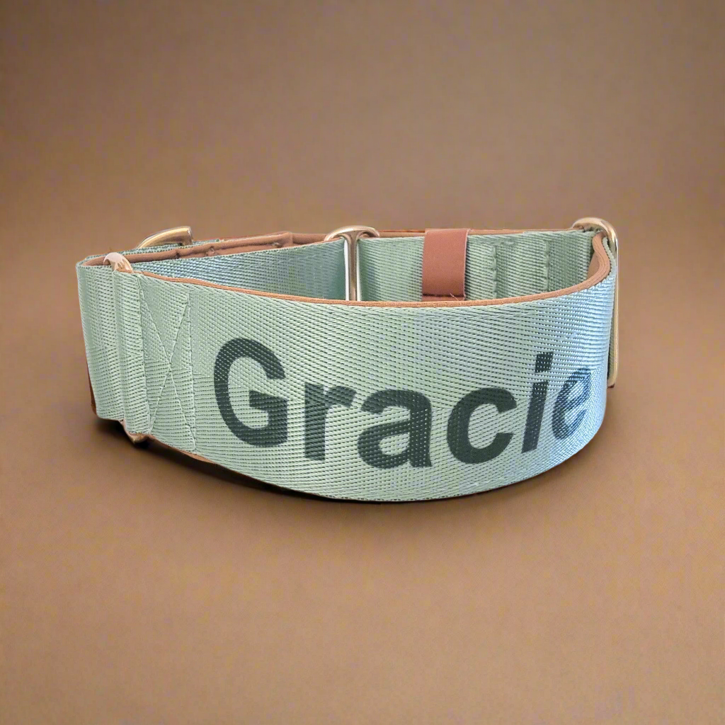 Personalised green dog collar with name