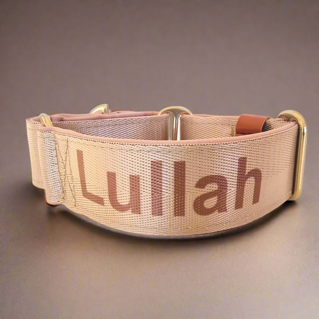 Name martingale collar with personalised name