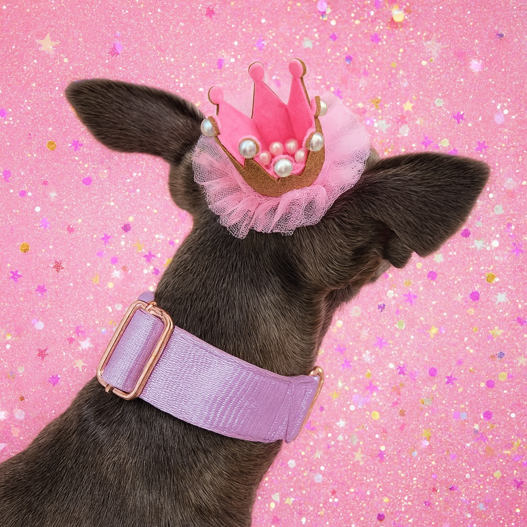 Girl dog party hat crown