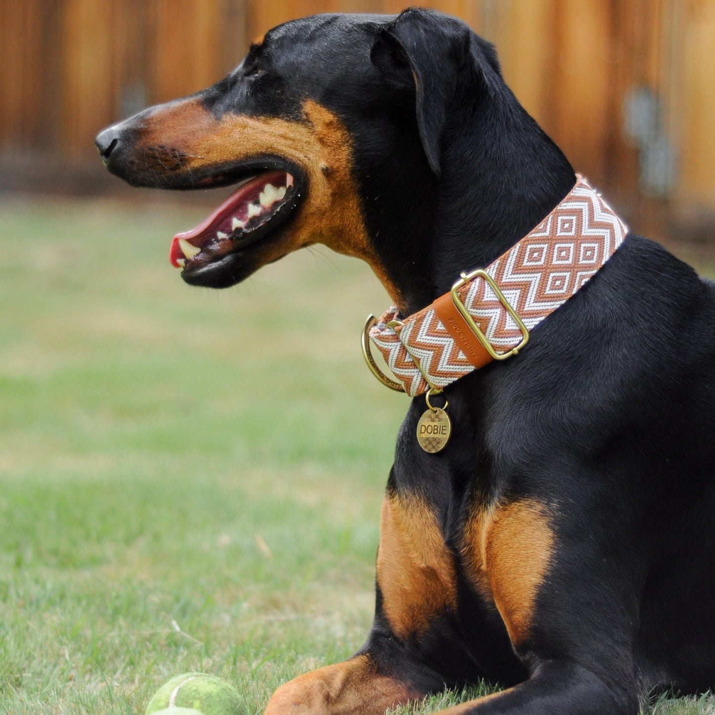 Strong dog collar