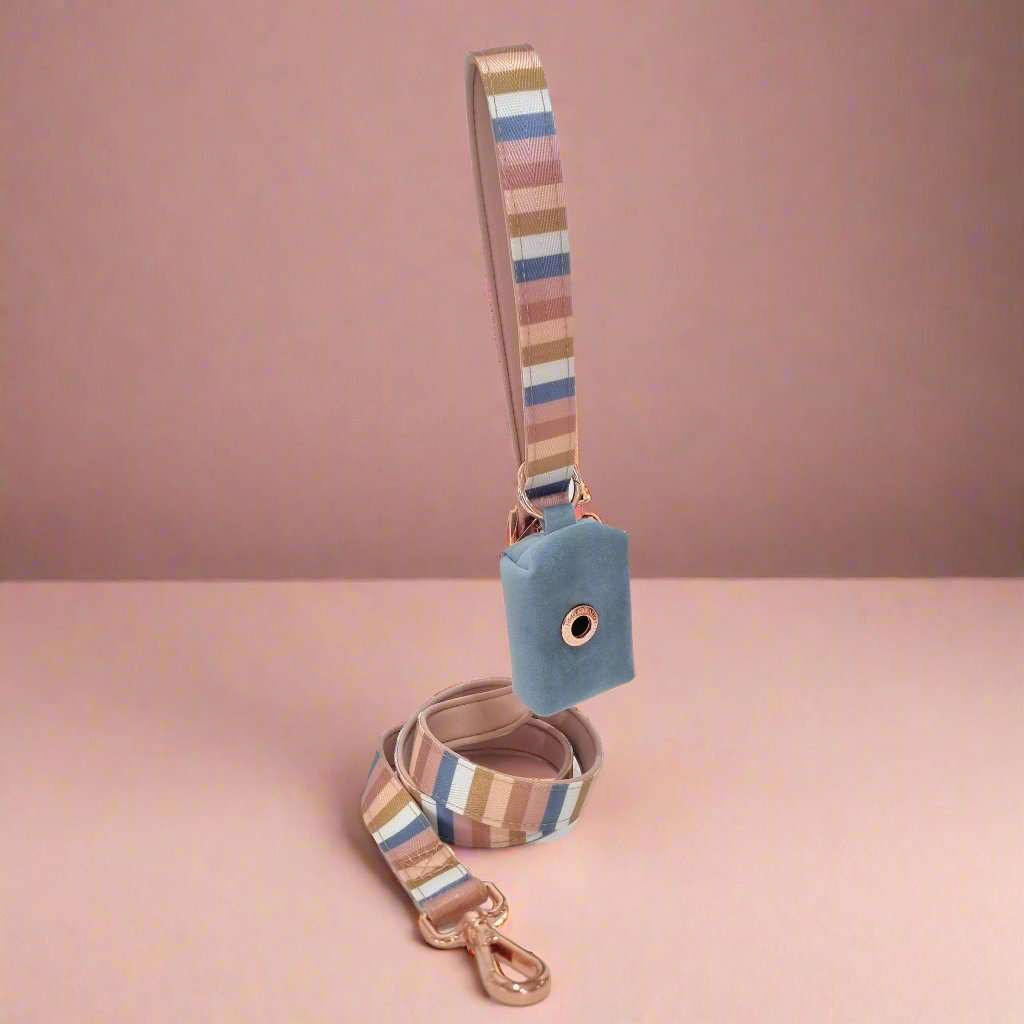 Stripe dog leash