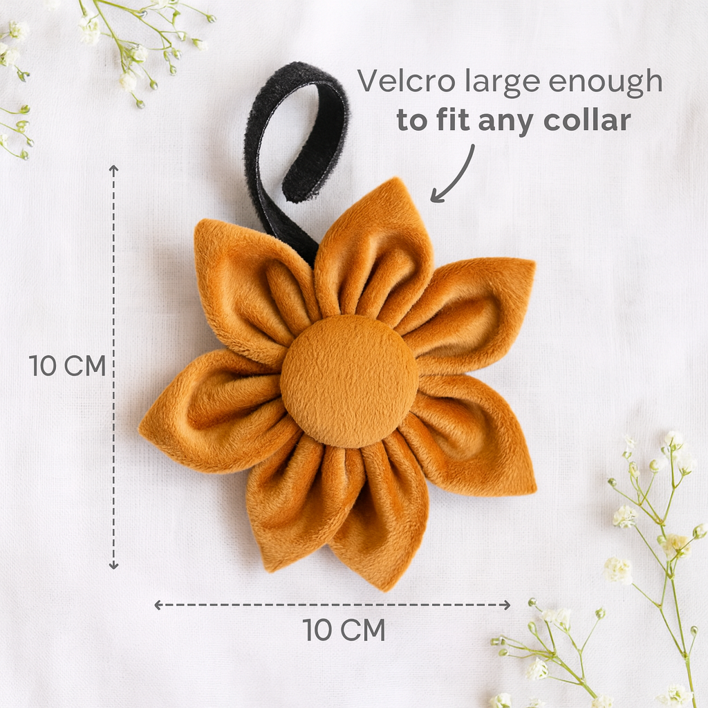 Flower for dog