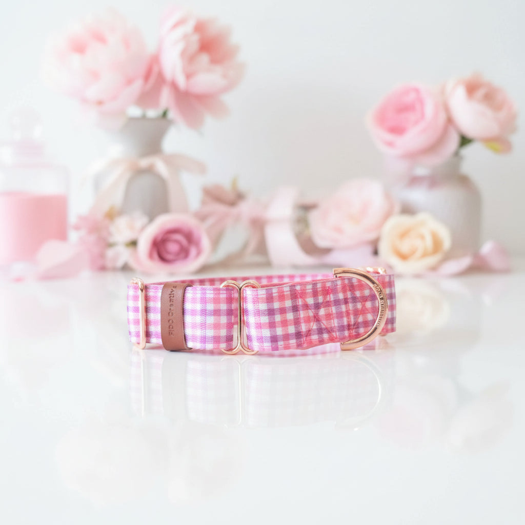 Checkered martingale dog collar personalised
