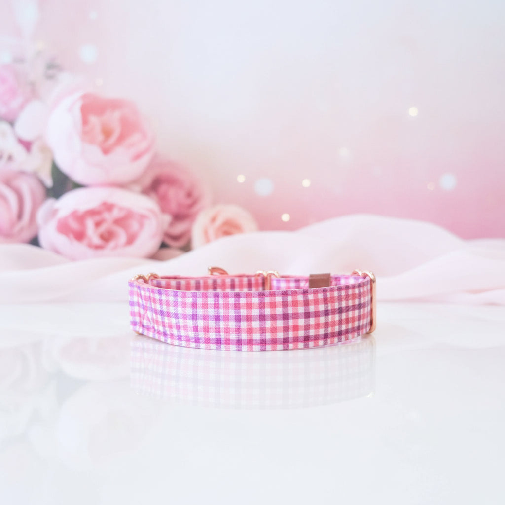 Girl martingale dog collar 