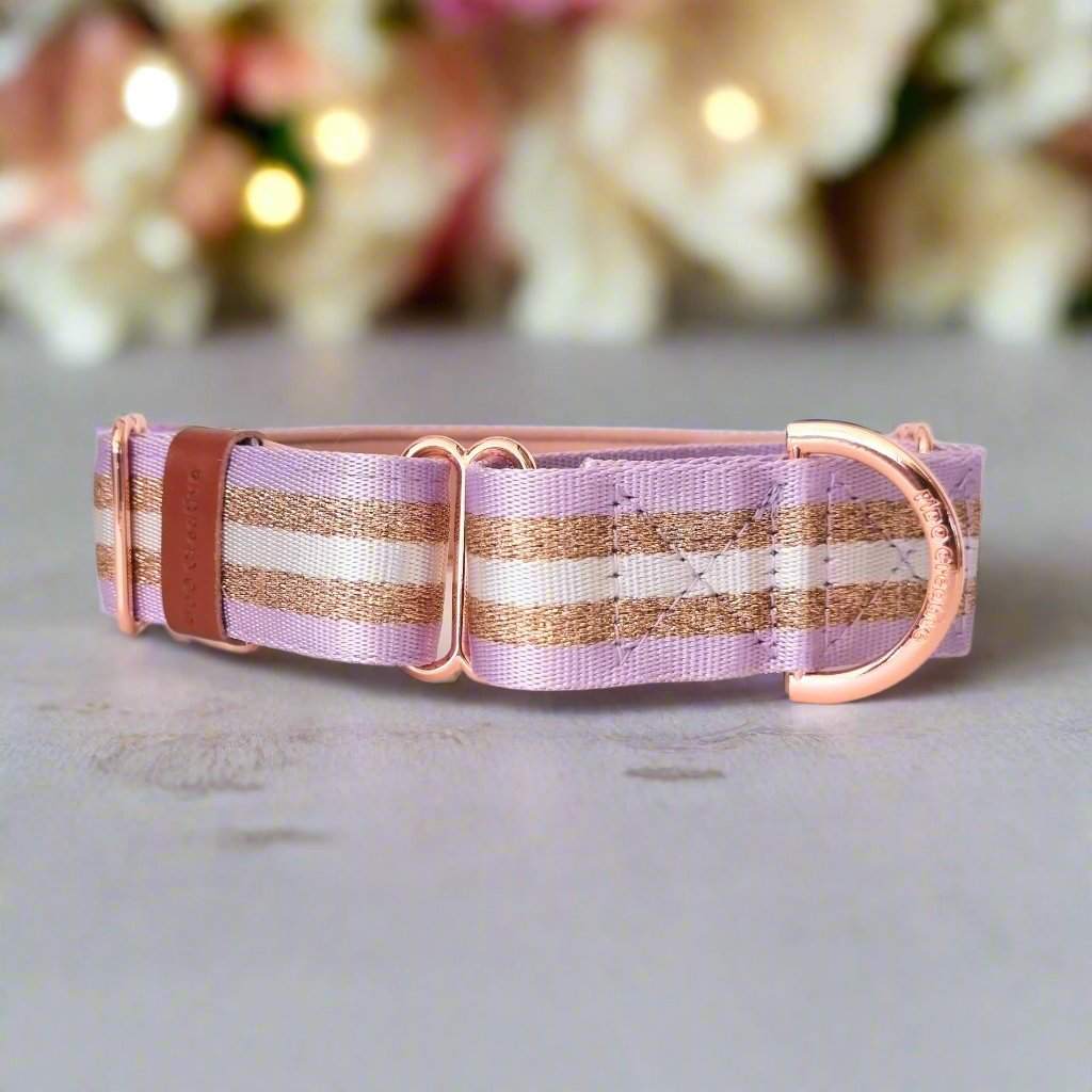 Glitter purple martingale dog collar