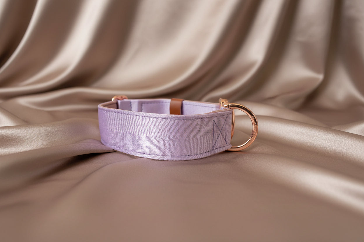 Soft purple padded dog collar 