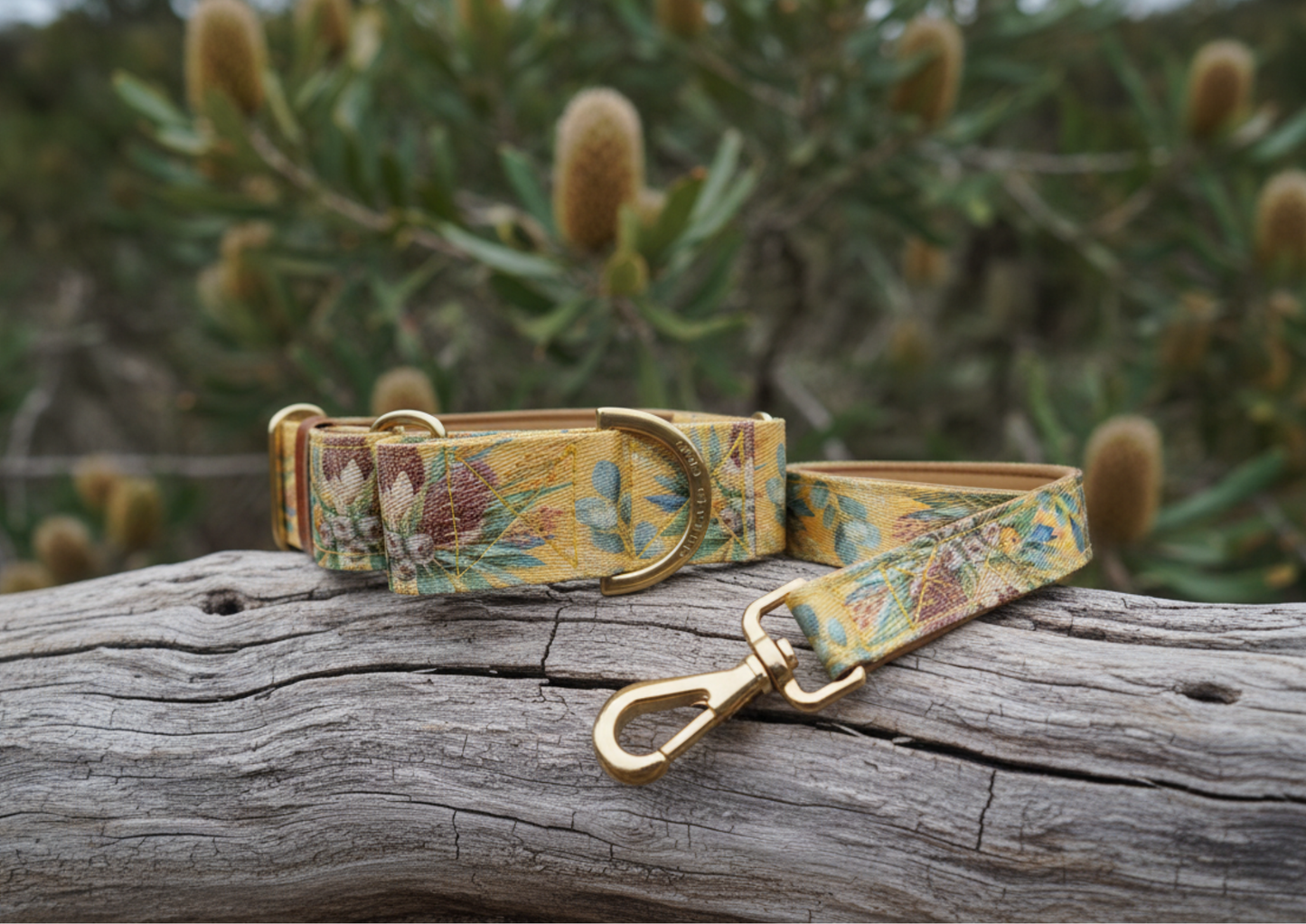 Mustard Banksia Martingale Collar – Australian Native Floral Dog Collar