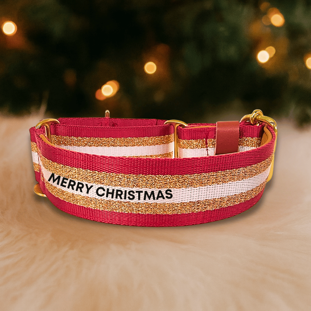 Red Glitter Dog Collar – Personalised buckle or martingale collar (1.5" Wide)