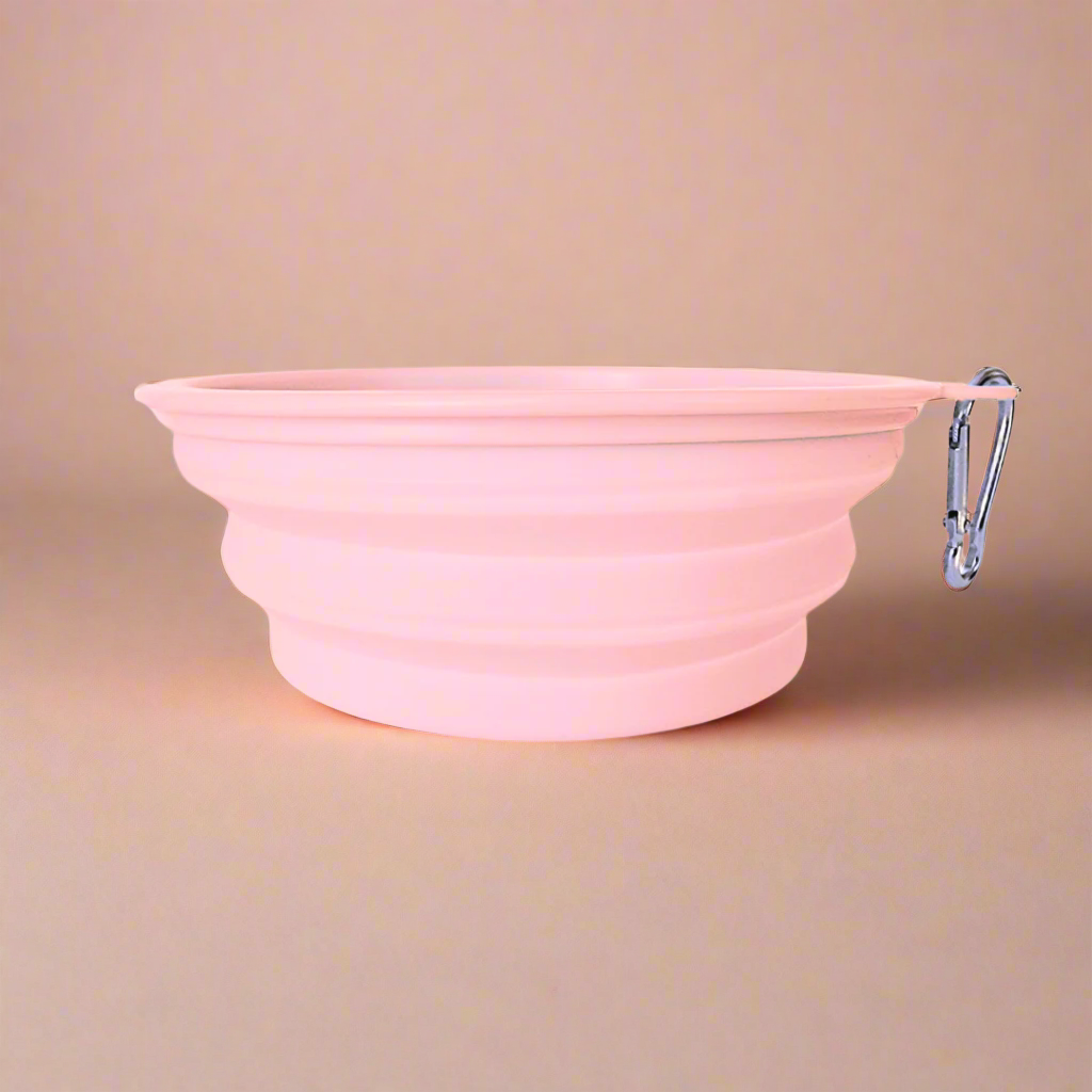 Travel dog bowls