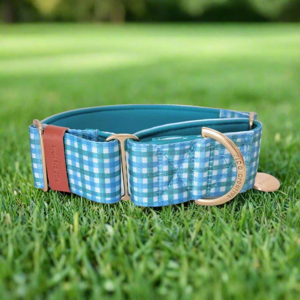 Blue gingham martingale dog collar 
