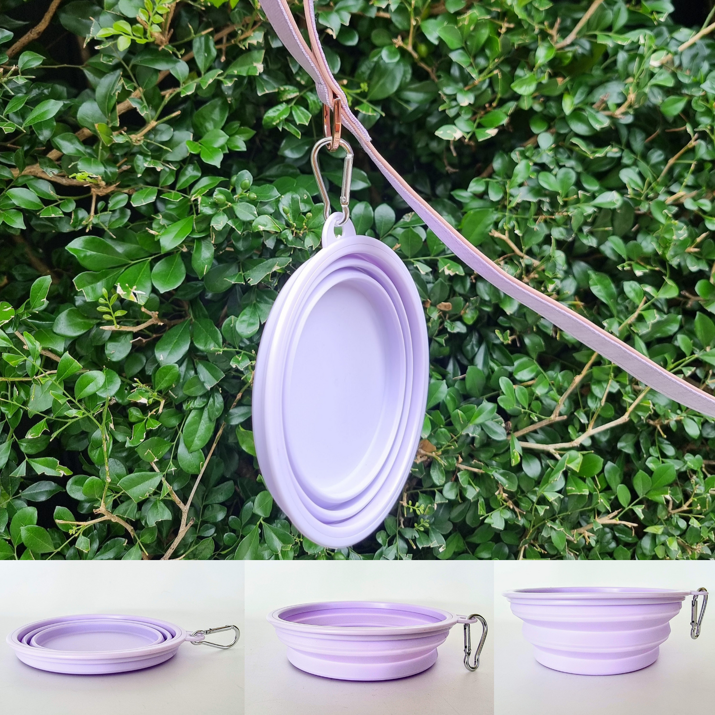 Portable dog bowls