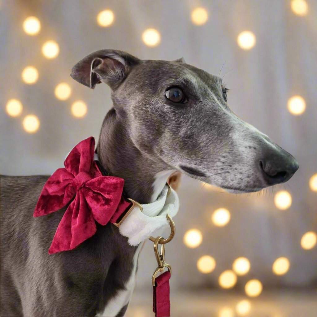 Dog Bow Tie - Crushed Red Velvet