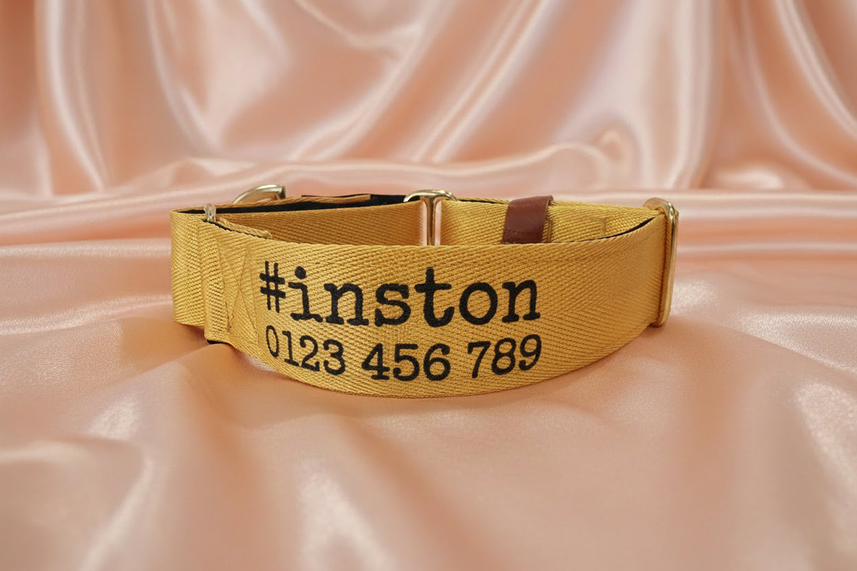 Yellow padded dog collar with buckle - Optional personalisation