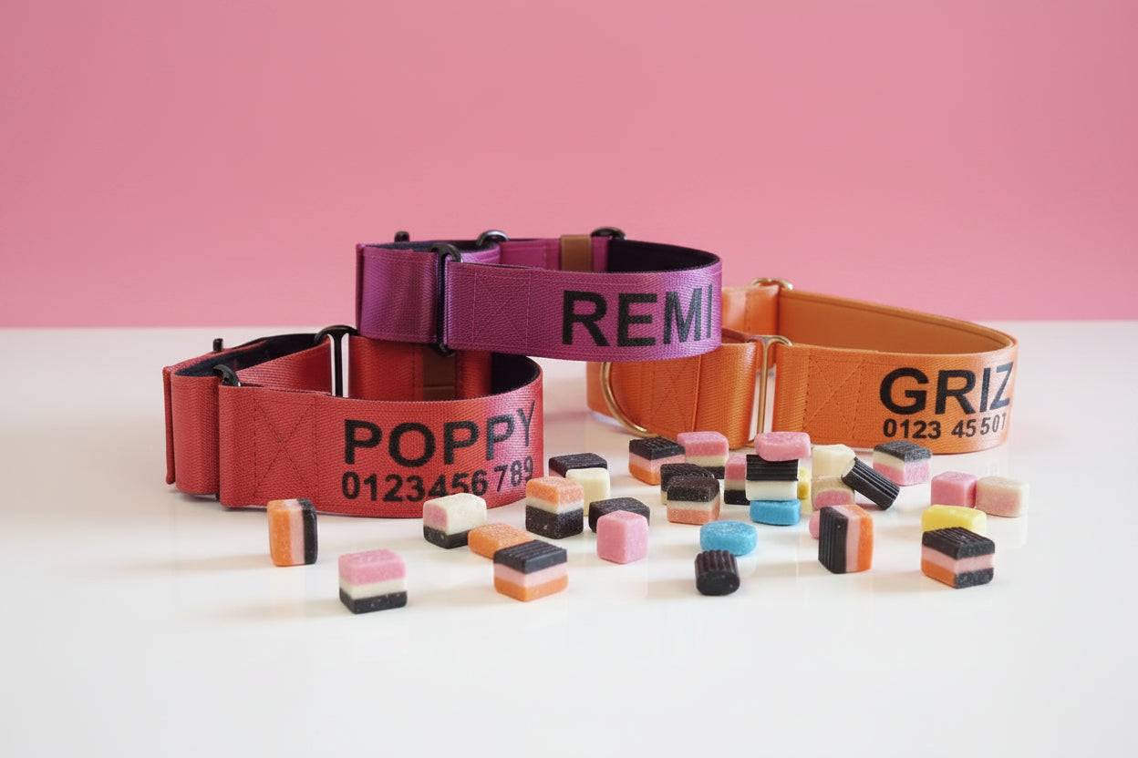 Pink Martingale Dog Collar – Padded, personalised with Dog’s Name Optional