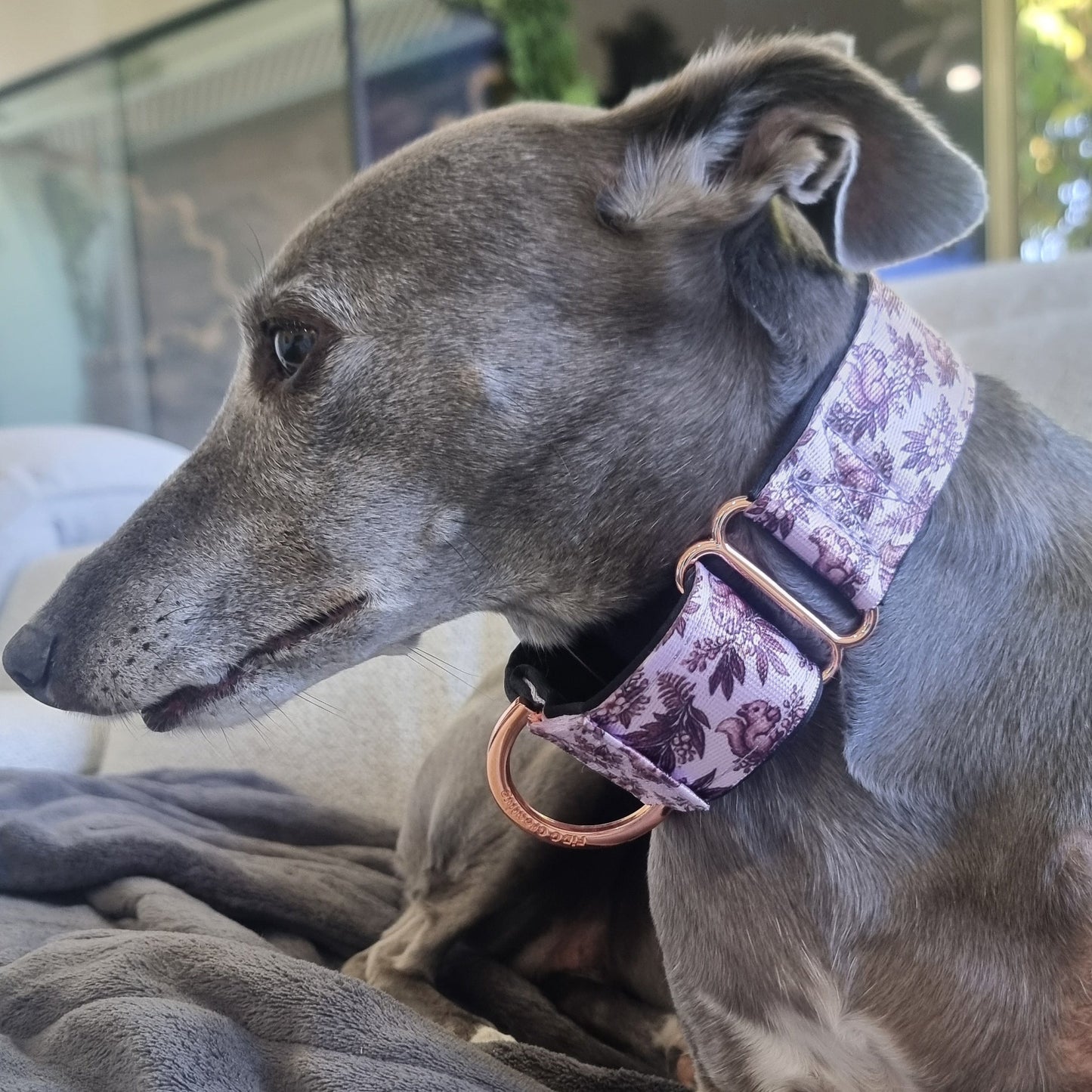 Personalised Martingale Collar – Lilac Squirrel Luxury Dog Collar