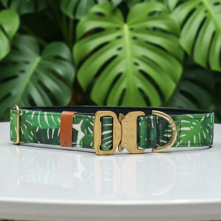 Monstera Leaf Dog Collar with Neoprene Padding & Tactical Buckle – Optional personalised Name