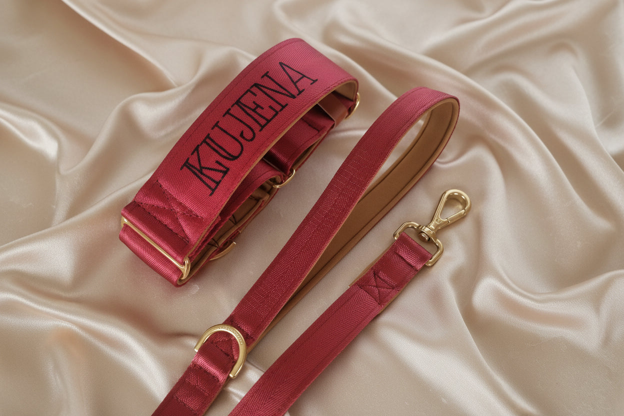 Maroon dog leash - Padded comfort