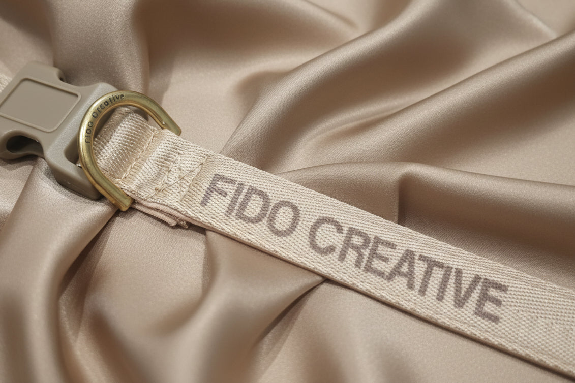 Close-up of a beige collar with a gold buckle and nae on it
