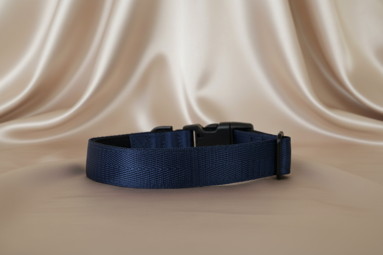 Navy Blue Dog Collar – Padded Buckle Collar