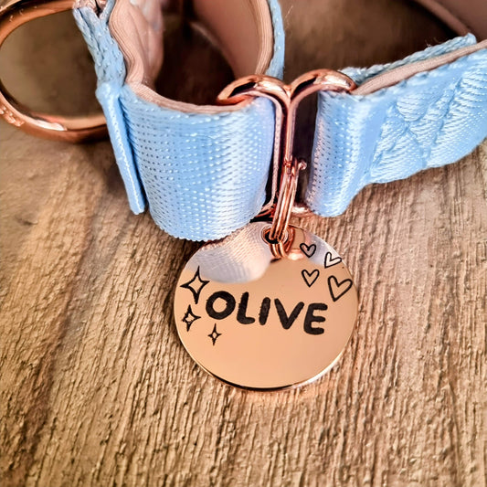 Shiny rose gold pet ID tag