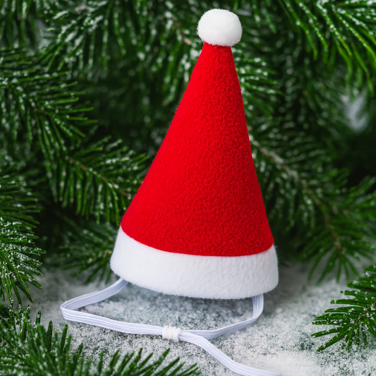 Pet Christmas hat