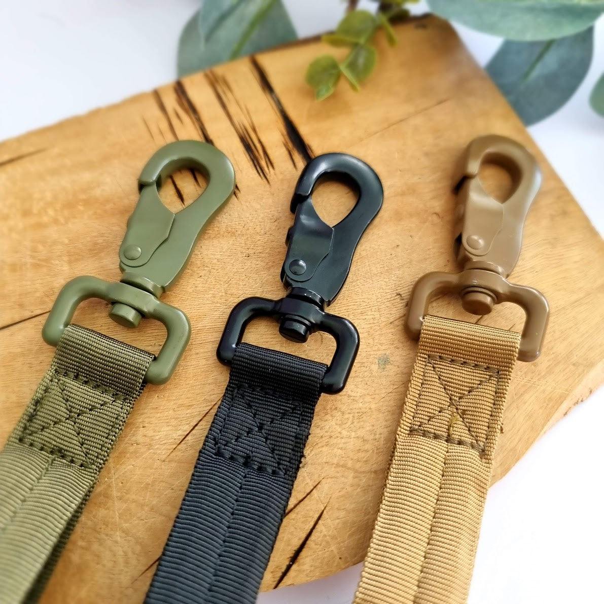 Bungee dog leashes