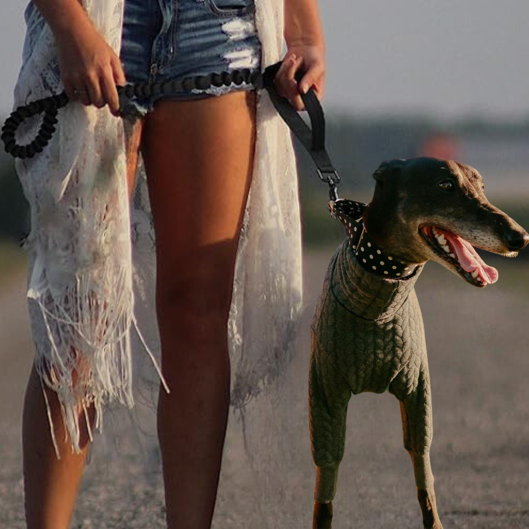 Traffic dog leash 