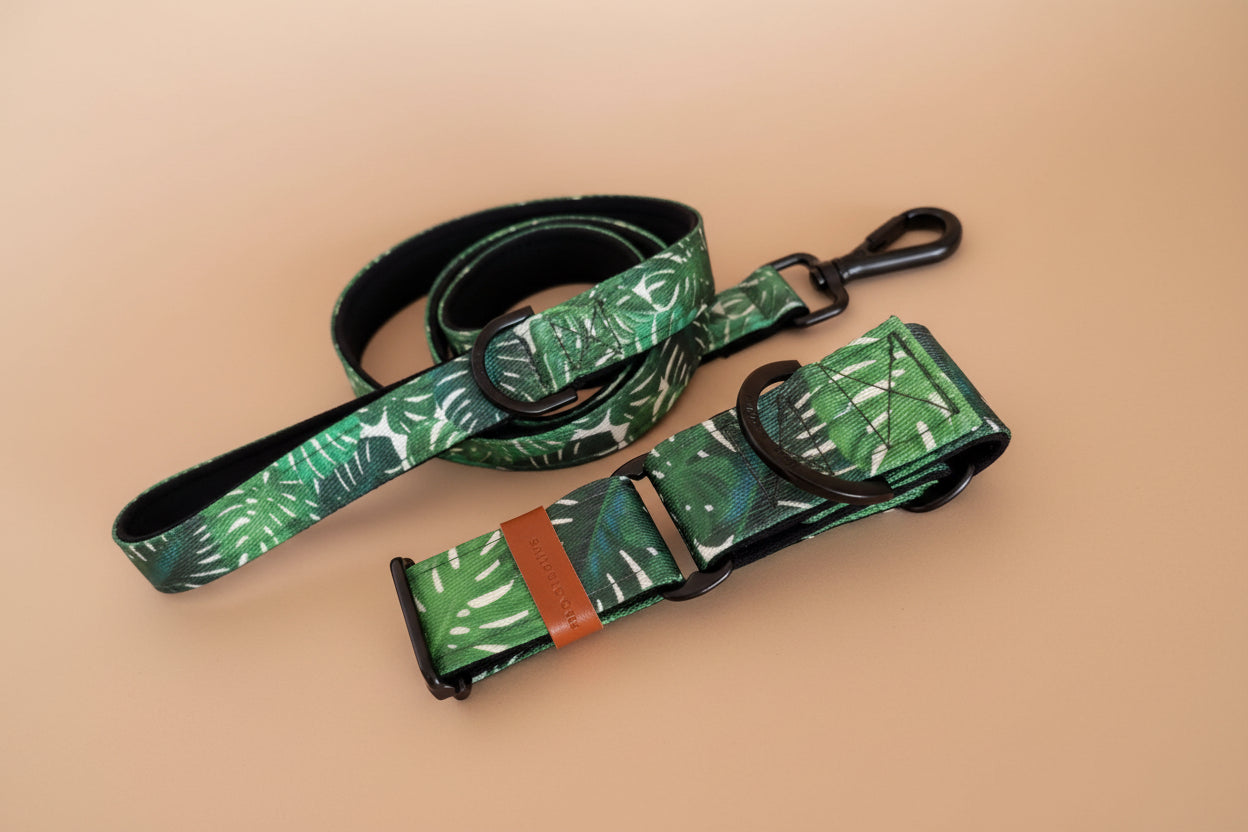 Padded Martingale Collar - Tropical Monstera Leaf Print