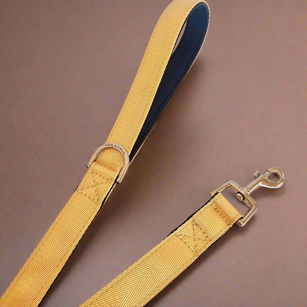 Yellow dog leash 