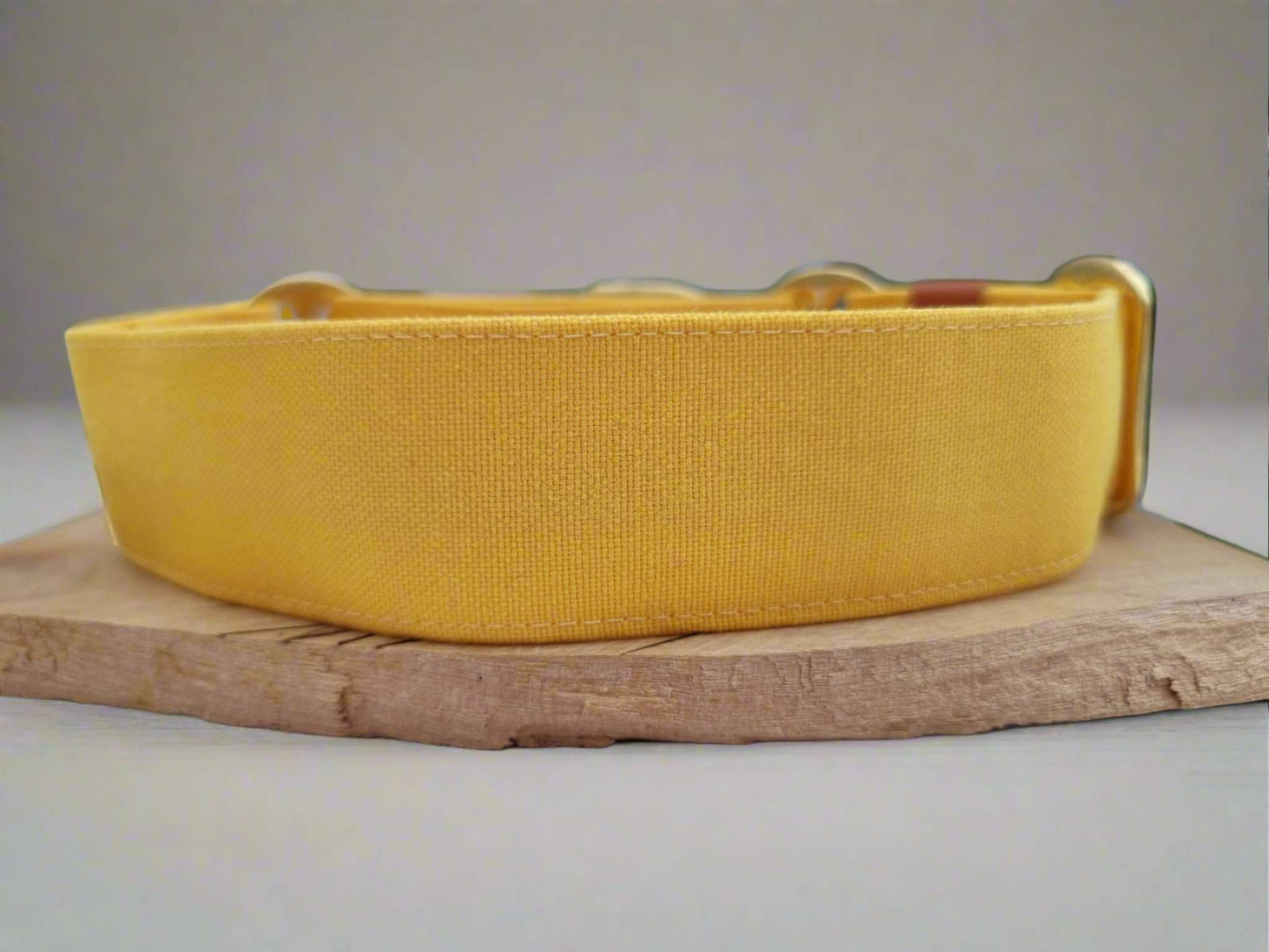 martingale dog collar yellow